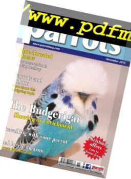 Parrots – November 2018