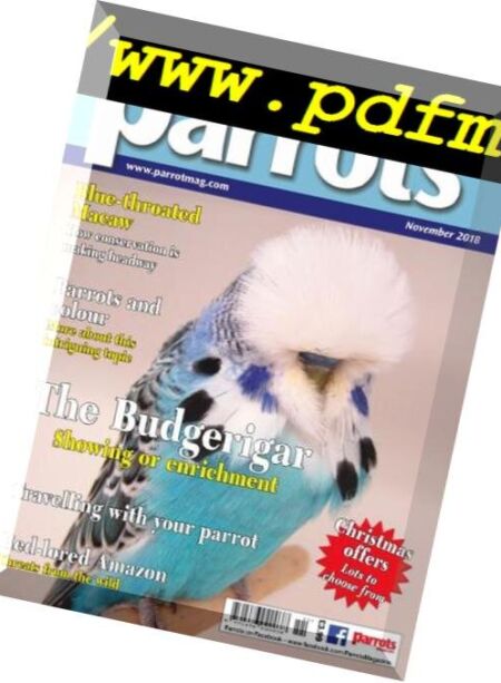 Parrots – November 2018 Cover