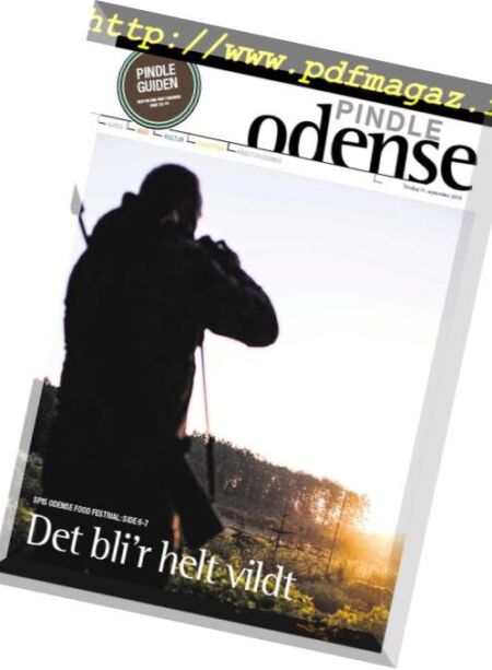 Pindle Odense – 11. september 2018 Cover