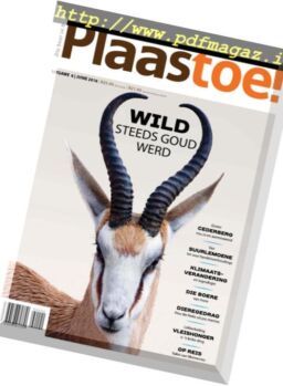 Plaastoe – May 2016