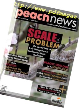 The Peach News – January 2017