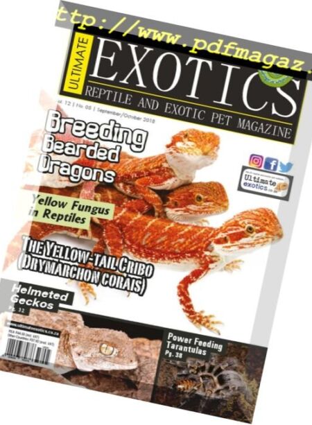 Ultimate Exotics – August 2018 Cover