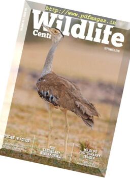 Wildlife Central – September 2018