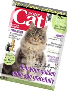 Your Cat – November 2018