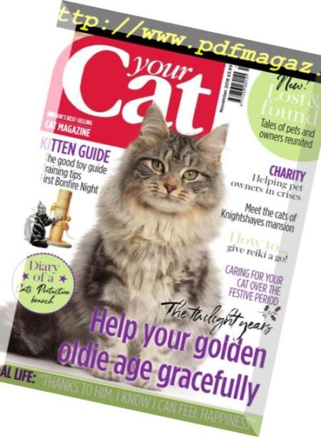 Your Cat – November 2018 Cover