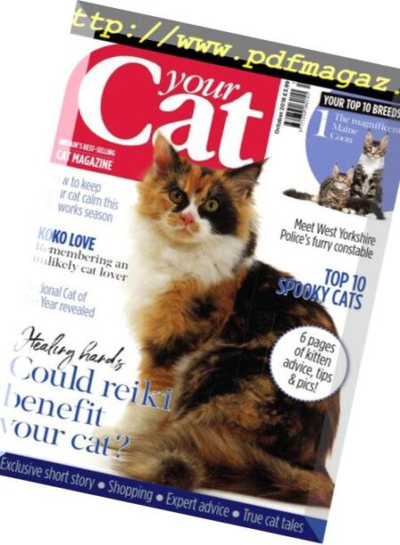 Your Cat – October 2018 Cover