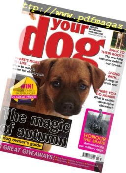 Your Dog – November 2018