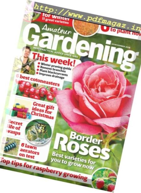 Amateur Gardening – 04 December 2018 Cover