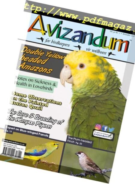 Avizandum – October 2018 Cover