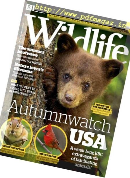 BBC Wildlife – October 2018 Cover