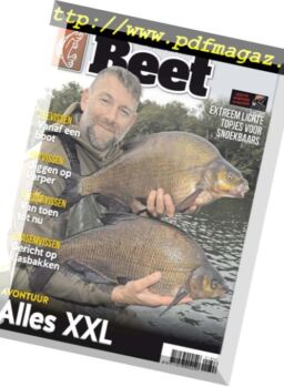 Beet – September 2018