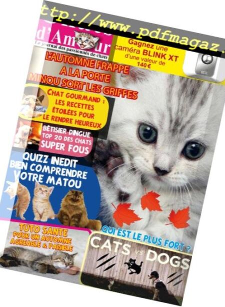 Chats D’Amour – N57 2018 Cover