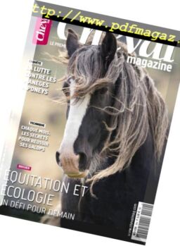 Cheval Magazine – Novembre 2018