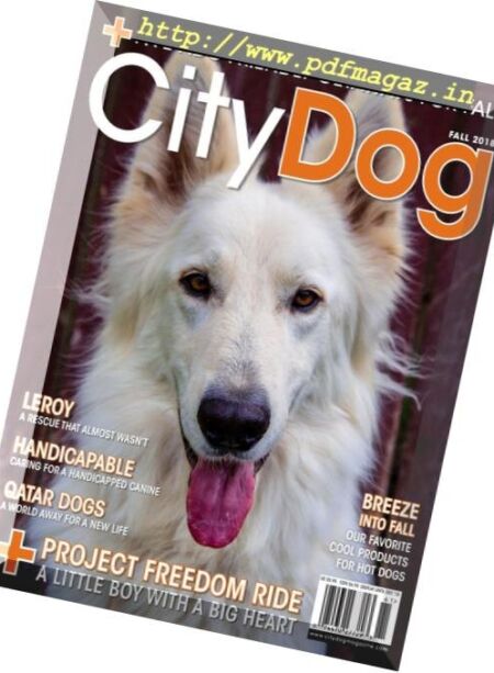 CityDog Magazine – Fall 2018 Cover
