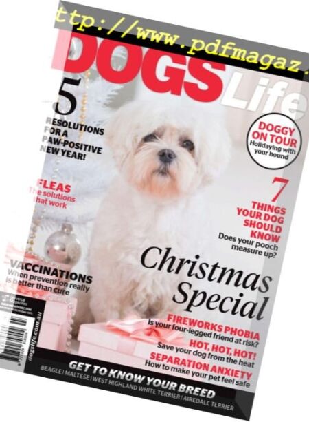 Dogs Life – October 2016 Cover