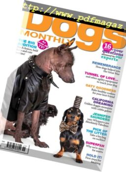 Dogs Monthly – November 2018