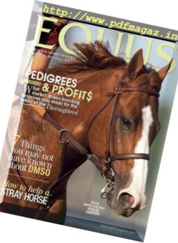 Equus – November 2018