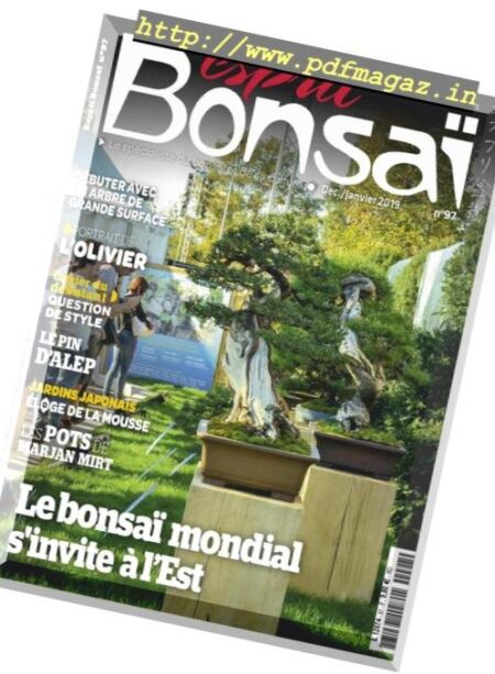 Esprit Bonsai – decembre 2018 Cover