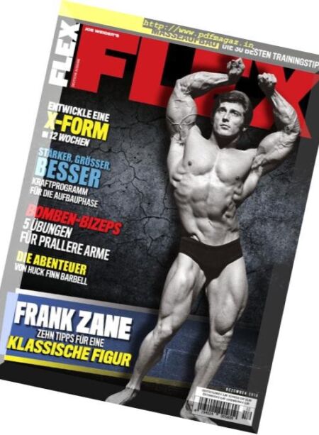 Flex Germany – Dezember 2018 Cover
