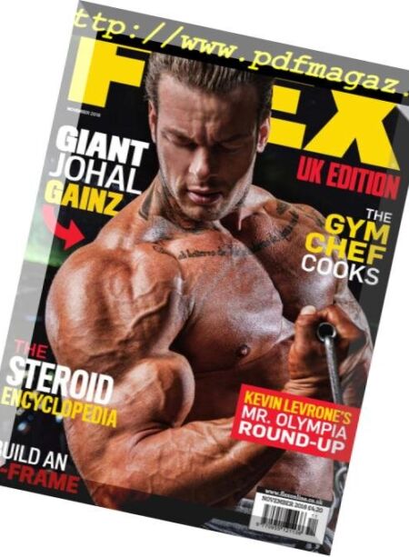 Flex UK – November 2018 Cover
