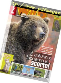 Focus Wild – Novembre 2018