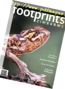 Footprints Zimbabwe – Issue 3, 2018
