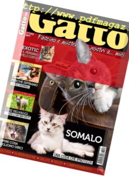 Gatto Magazine – Ottobre 2017