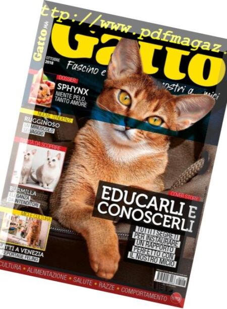 Gatto Magazine – Ottobre 2018 Cover