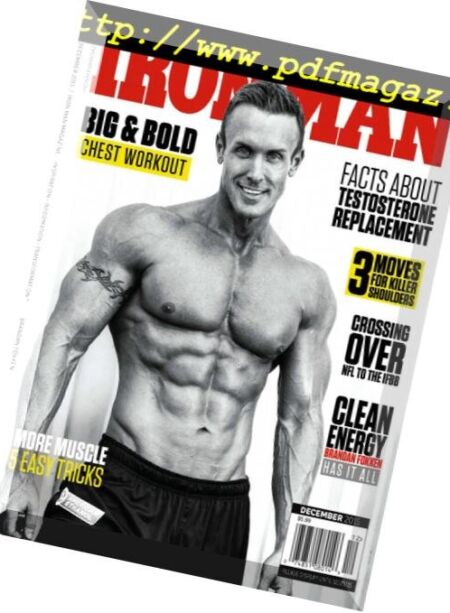 Iron Man USA – December 2015 Cover