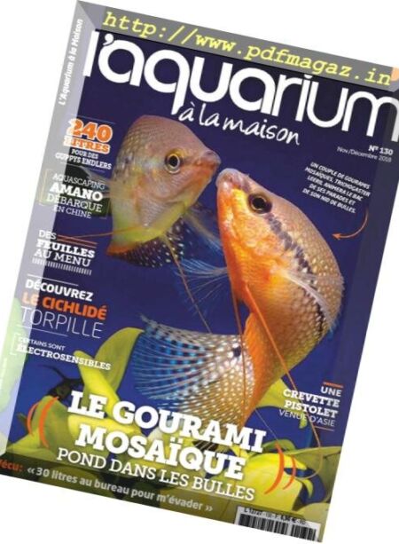 l’Aquarium a la Maison – novembre-decembre 2018 Cover