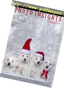 Photo Insights – December 2018
