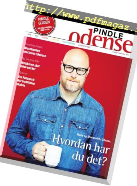 Pindle Odense – 13 november 2018 Cover