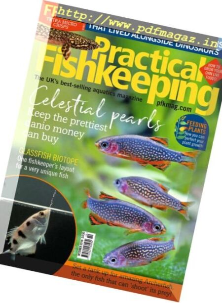 Practical Fishkeeping – October 2018 Cover