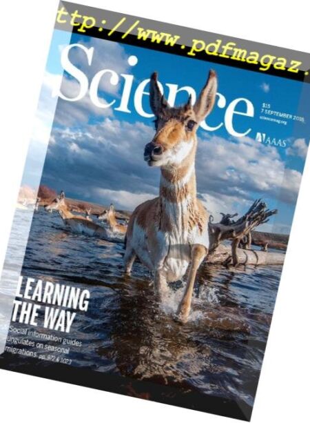 Science – 7 September 2018 Cover