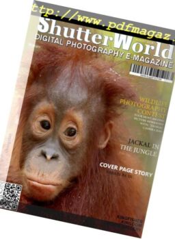 Shutter World – August 2018