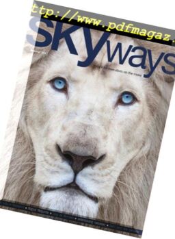 Skyways – November 2018