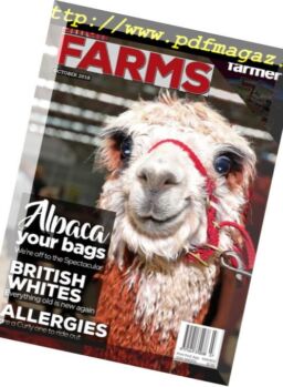 Small Farms – November 2018