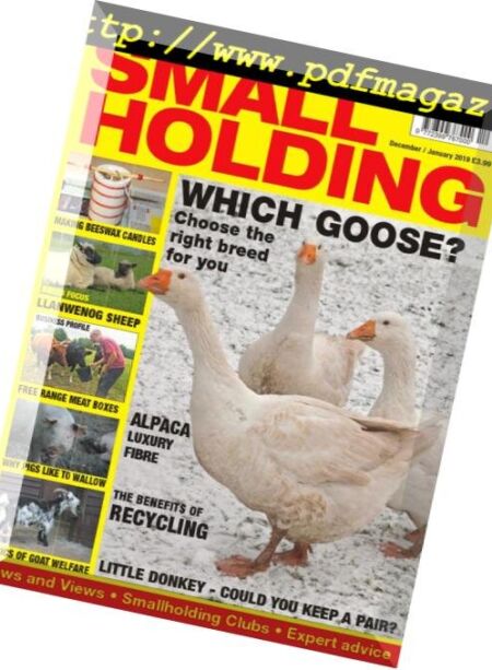 Smallholding – December 2018 Cover