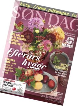 Sondag – 15 oktober 2018