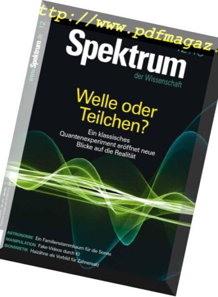 Spektrum der Wissenschaft – Dezember 2018 Cover
