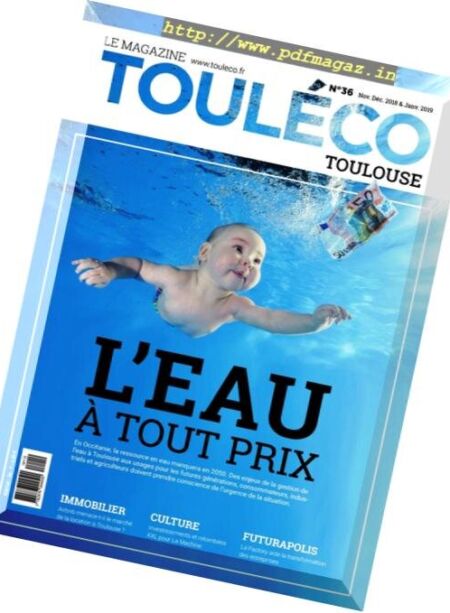 Touleco Toulouse – Novembre 2018 – Janvier 2019 Cover