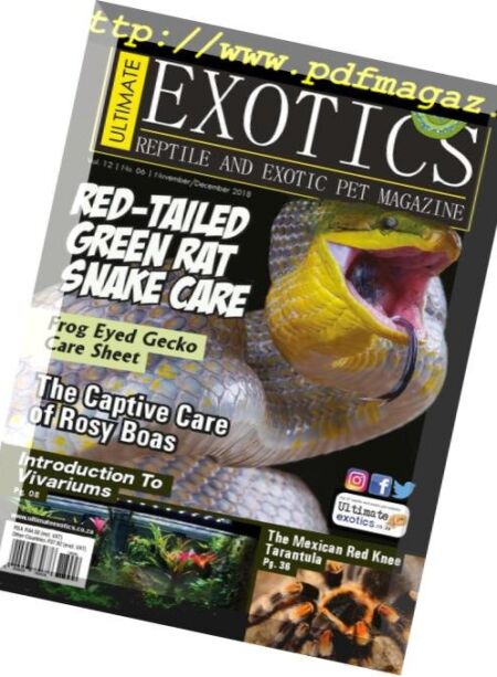 Ultimate Exotics – October 2018 Cover