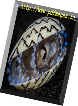 Underwater Photography – July-August 2018