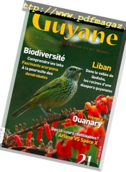 Une saison en Guyane – aout 2018