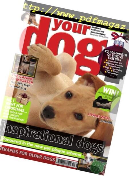 Your Dog – December 2018 Cover