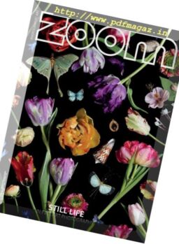 Zoom Magazine – November 2018