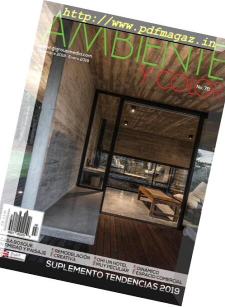 Ambiente y color – Diciembre 2018-Enero 2019 Cover