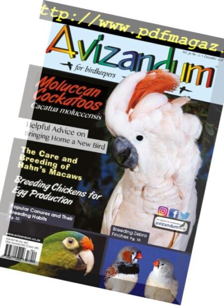 Avizandum – November 2018 Cover