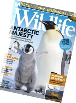 BBC Wildlife – December 2018