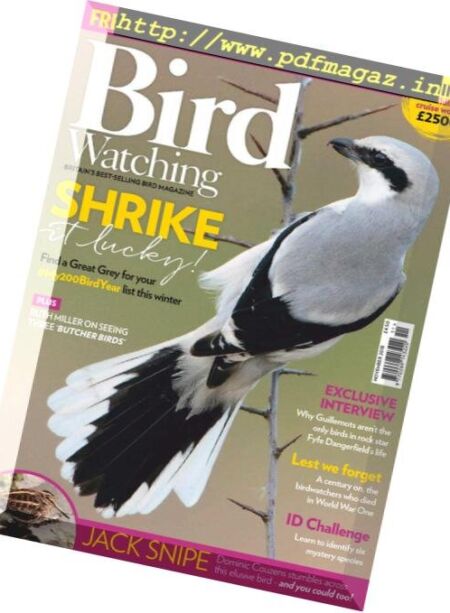 Bird Watching UK – November 2018 Cover
